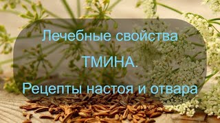 Лечебные свойства тмина