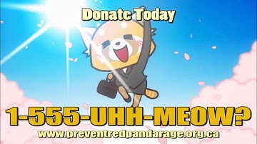 Nan Desu Kan 2019 AMV Iron Chef Winner