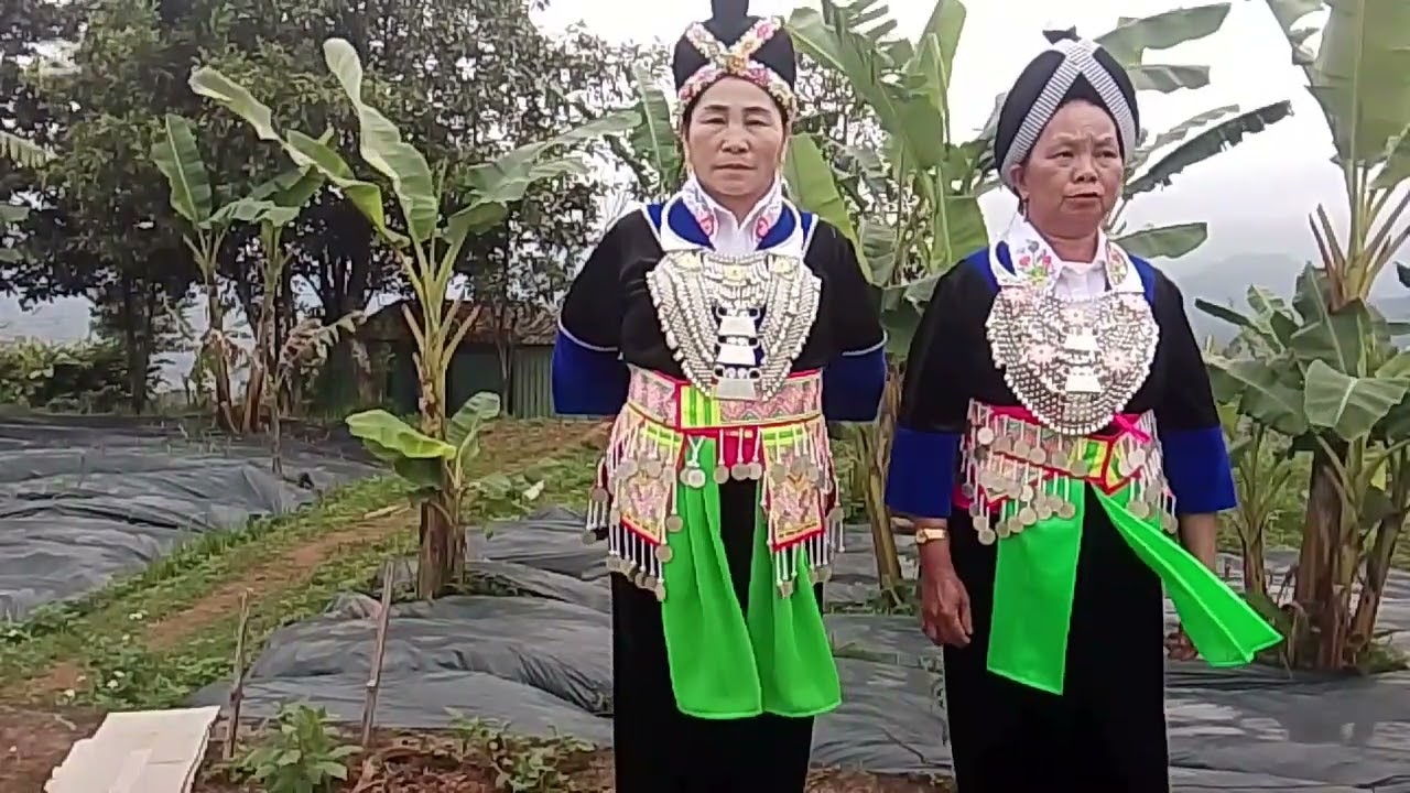 Cib muas thiab paib muas hais kwv txhiaj nawb 2026