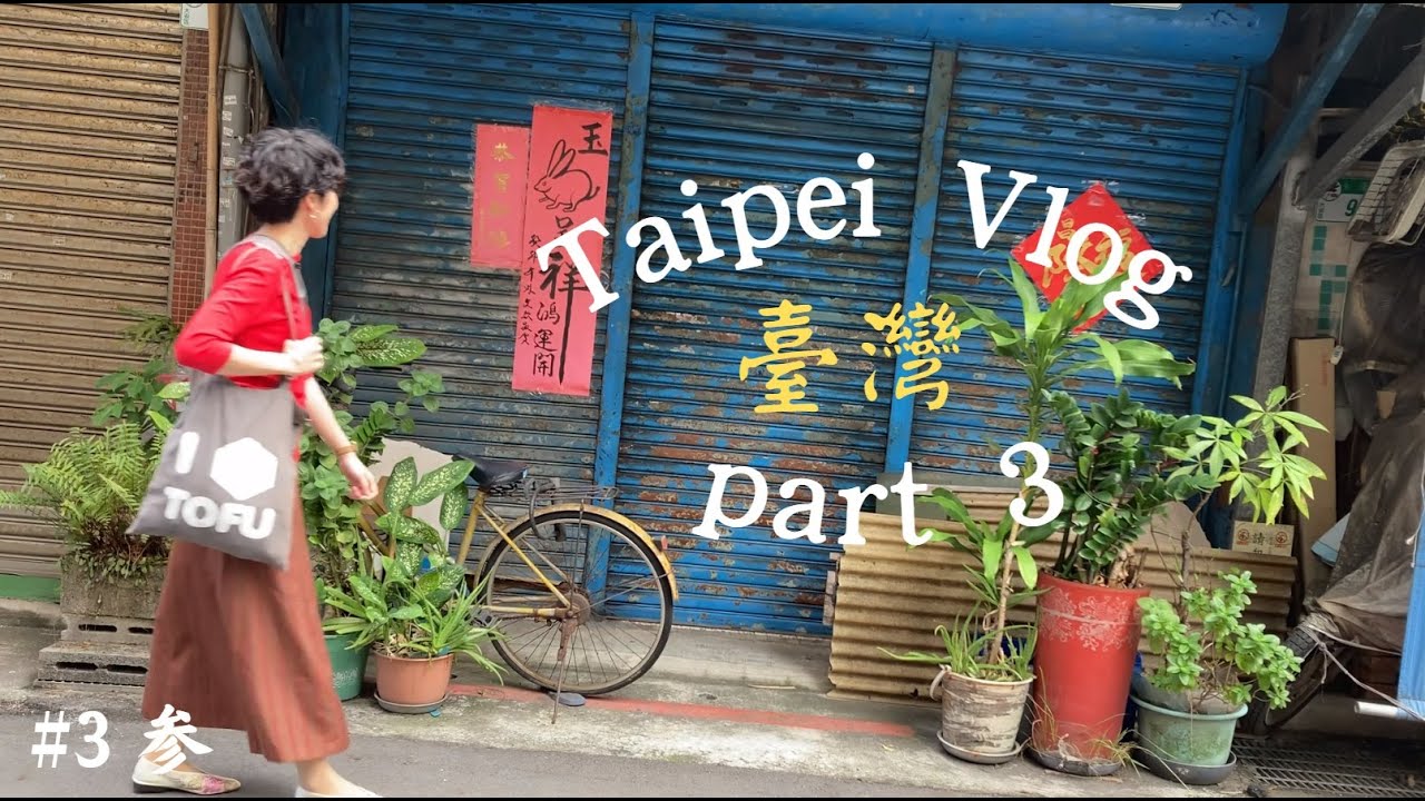 【10月台湾】🇹🇼台北2泊3日の１人旅 Vlog#3  迪化街 （ディーホアジェ）街歩き｜杏仁豆腐｜雑貨屋めぐり｜香港式カフェ｜朝ごはん｜台北市立美術館｜行列のできる劉山東牛肉麵