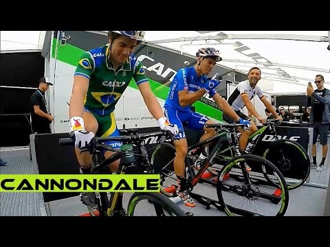avancini cannondale
