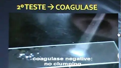 O que é o teste de coagulase?