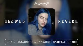 Cheb Hamidou - Manich Fahem Rouhi ( SLOWED REVERB ) حتى انا مانيش يافاهم روحي