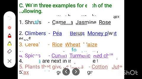 Class-II, EVS, Ch-15, Exercise
