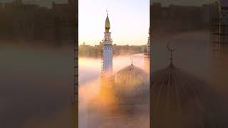 Roots of Regret #step6