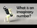 What Is An Imaginary Number 