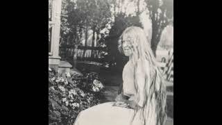 sladescar - Domestic sladescar - Domestic