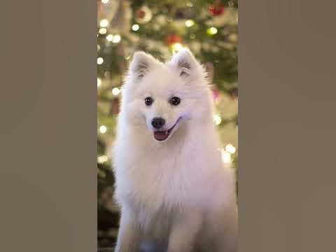 стой пожалуйста💓 - YouTube