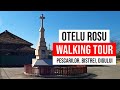 Walking Tour Oțelu Roșu | Zhiyun Weebil S & GoPro Hero 8 | Pescarilor, Bistrei, Digului (March 2021)