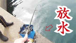 放水しながら足元ショアジギングは釣れる(317話目)