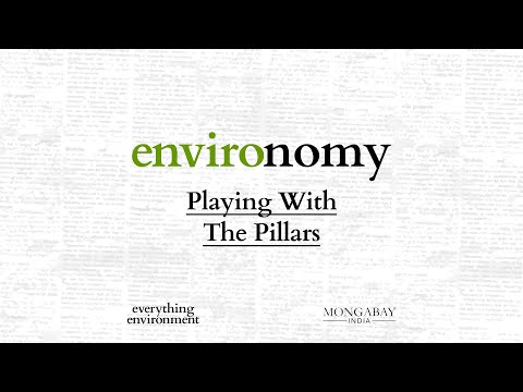 Environomy: Playing With The Pillars | Podcast
