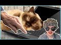Granny & Her Cat Spend 1 Hour With Tech Scammers