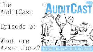 What are Accounting Assertions?