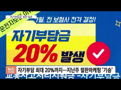 '공포 마케팅' 못잡나…해프닝으로 끝난 운전자보험 자기부담금