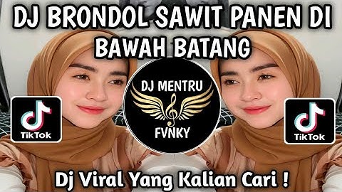 DJ BERONDOL SAWIT PANEN DI BAWAH BATANG OT CAKRAWALA OKU TIMUR REMIX PALEMBANG VIRAL TIKTOK 2024