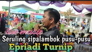 Goci-goci Gondang Batak live seruling sipalambok pusu-pusu...