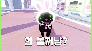 고양이 키우면서 이 게임을 안 했다고? screenshot 2