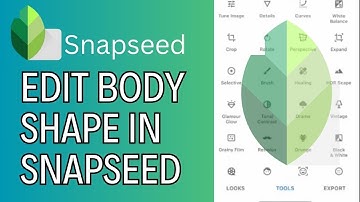 How to Edit Body Shape in SnapSeed App 2024?