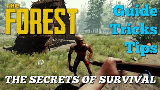 The Forest: Three Day Beginner's Guide / Tricks / Tips (No Spoilers) screenshot 5