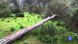 ENERGETI - AQUÍ LA TIERRA - TVE