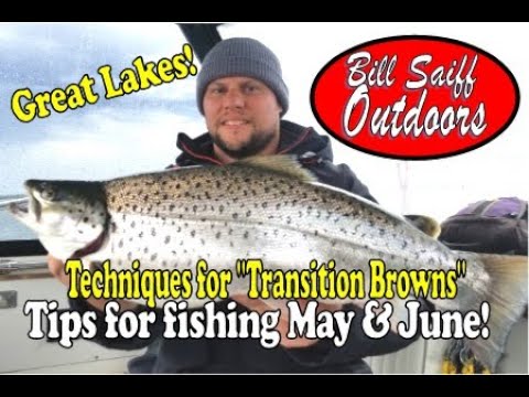 Fishing Brad's SUPER BAITS (Kings & Lakers) 