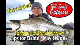 Brown Trout 'Transition Fishing'  May & June!