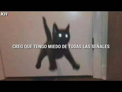 DPR IAN - Scaredy Cat (tradução/legendado) 