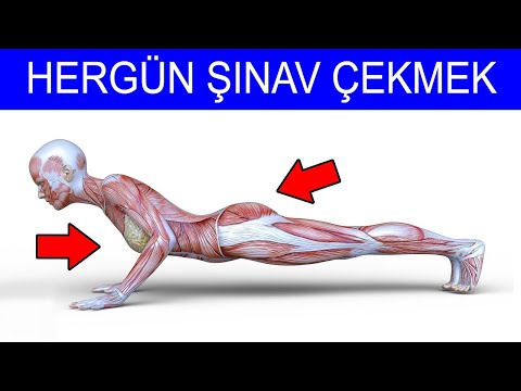 Video: Şınav Sırasında Hangi Kaslar çalışır?