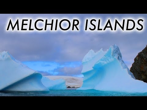Melchior Islands, Antarctica