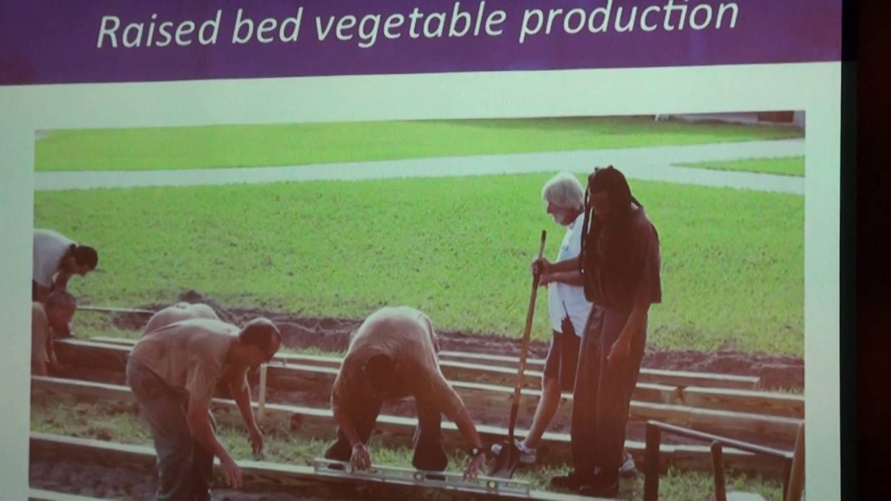 IGNITE Speaker08 Singleton,Lloyd