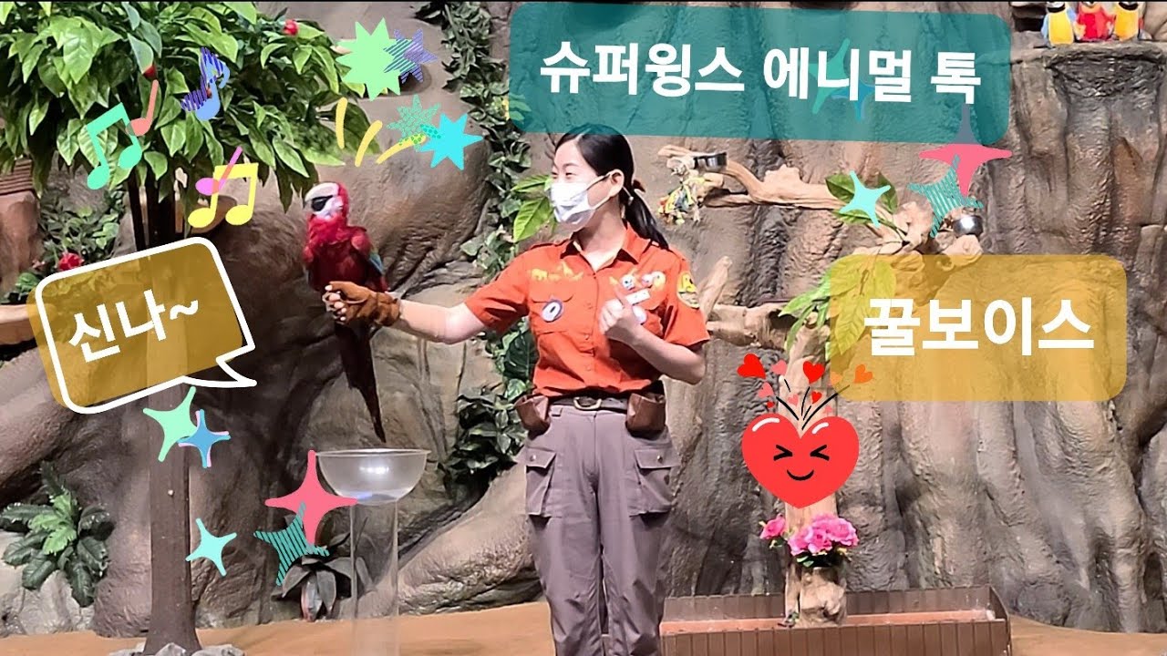 [4K 에버랜드] 슈퍼윙스 애니멀톡 2021-09-26