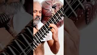Raag Multani Rudra Veena - Rajeev Janardan