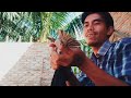mbah nya nyangkut semua di jaring