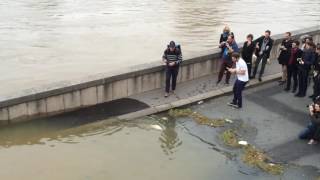 Partie de pêche pendant la crue de Paris