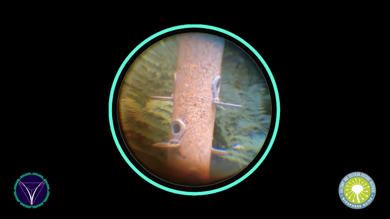 Loch Lomond & Trossachs National Park: Aberfoyle Telescope Day 3 | Relief from Stress, Sleep well