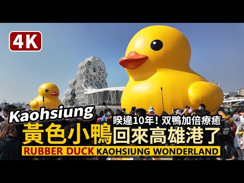 Kaohsiung／黃色小鴨回來高雄港了！Giant Yellow Rubber Duck return to Kaohsiung 愛河灣→16號~18號碼頭！睽違10年！雙倍療癒／高雄燈會冬日遊樂園