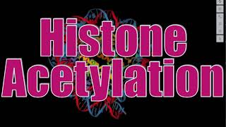 Chromatin analysis 3: Histone Nɛ-Acetylation, Enzymes, methods, roles and HAT/ HDAC inhibitors