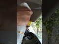 Eya Clean ototemizleme araçtemizleme mp3