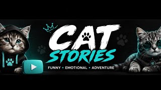 Has Everyone Talking!🎬 The Most Heartwarming Cat Story You'll Watch Today