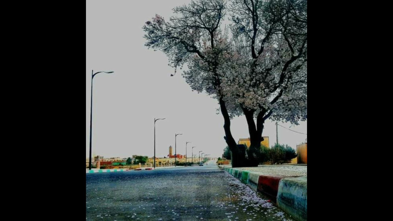 مديح يبكي العين 😭 ( الله يسمح لينا من الوالدين )