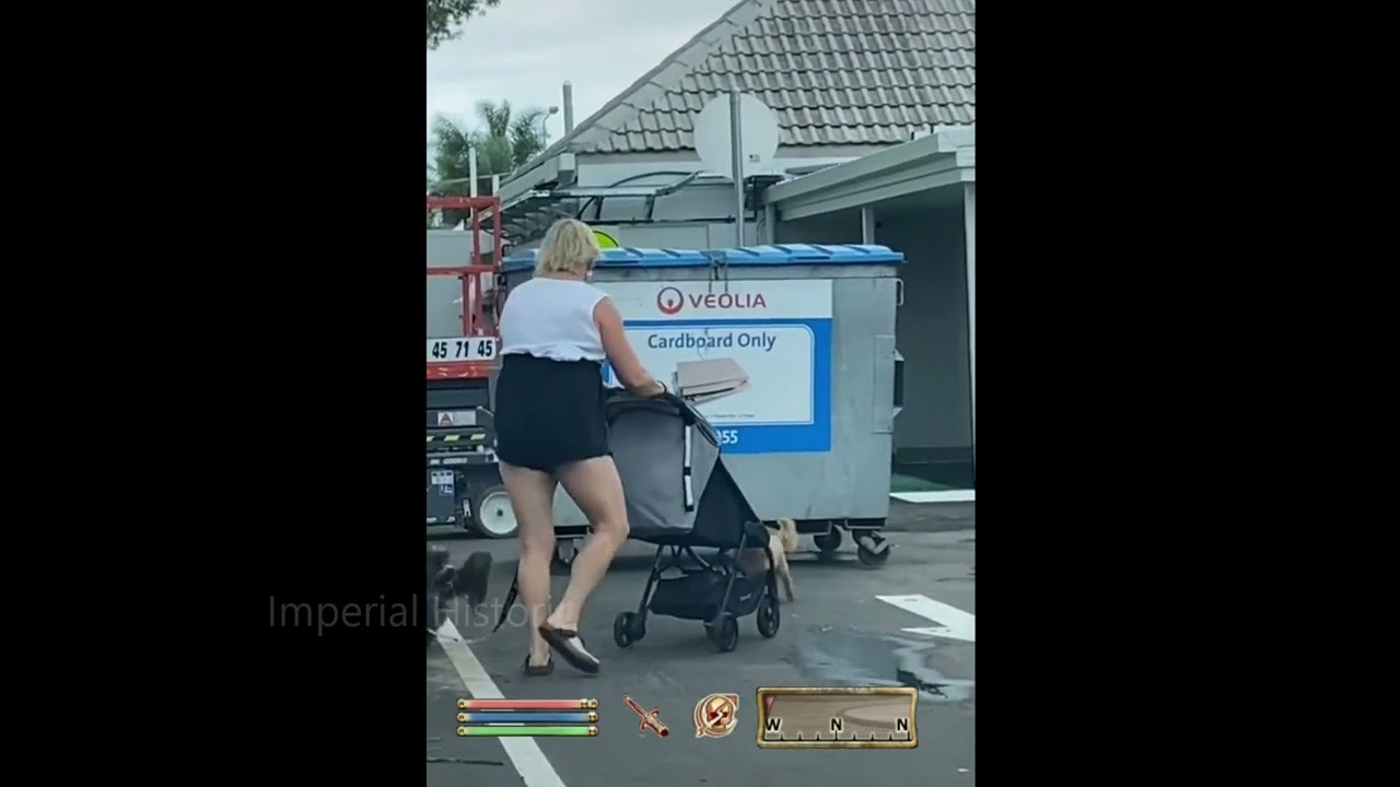 Skooma Addict Walks Dogo, Admires Trash - Oblivion NPC