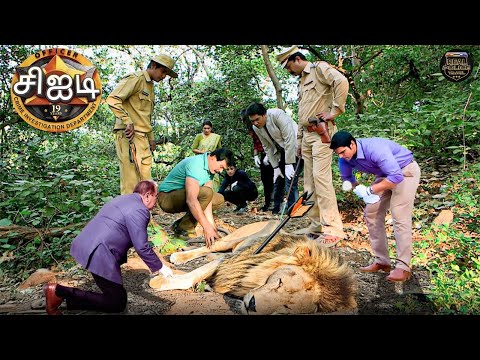 தனிமையான காட்டில் காணப்பட்ட காயமடைந்த சிங்கத்தின் உயிரை CID எவ்வாறு காப்பாற்றியது | Best Of CIDTamil