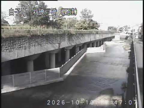 白子川 比丘尼橋下流調節池 のライブ映像