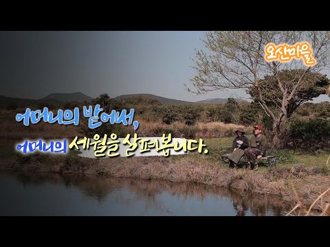 新우문현답 | 301회.열심히 일해서 얻은 것은 병든 몸 밖에 없는데 뭐 하러 힘들게 농사를 지으셨습니까? - 경남 밀양시 상남면 오산마을  | (KBS 2022.05.20방송)