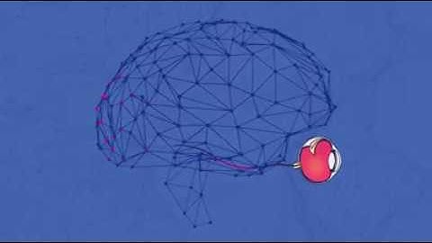 AI Education - Convolutional Neural Nets