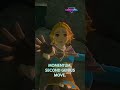 🗡️ Zelda Physics Chaos or Genius Game Design 😳#Zelda #SandboxGames #GamePhysics #Innovation