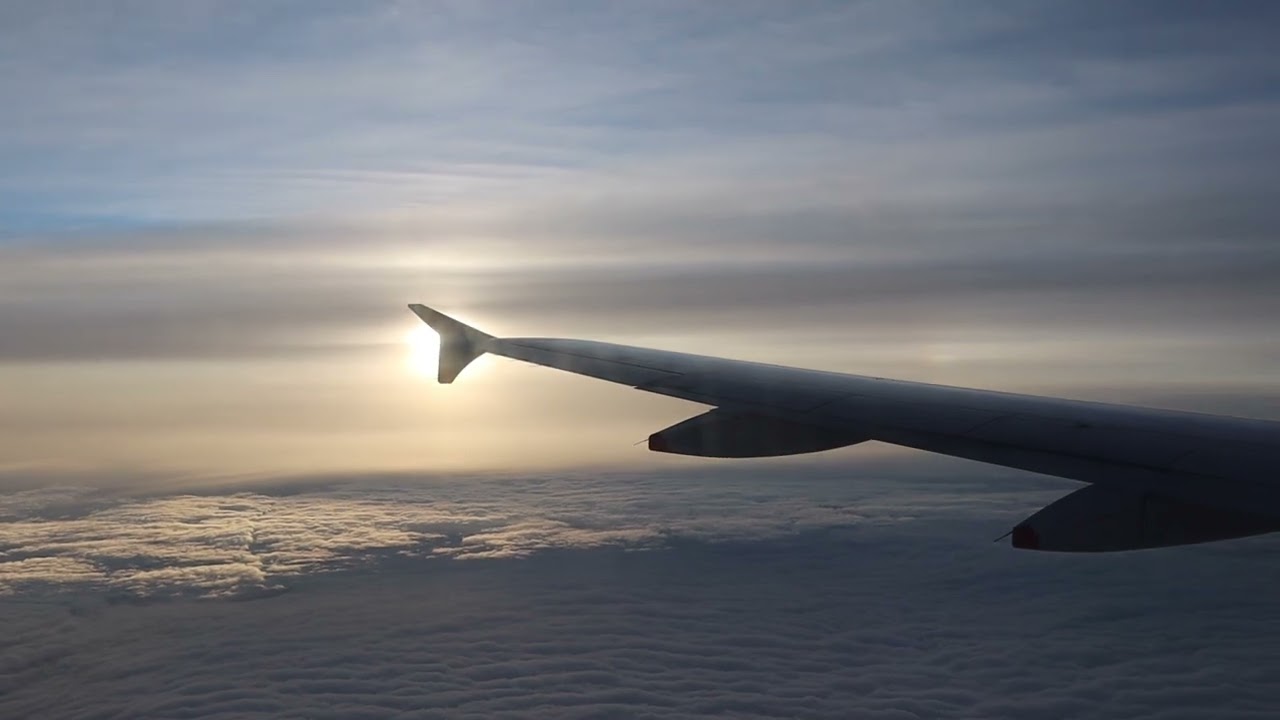 British Airways A320 | London Heathrow - Oslo | Safety | Takeoff | Inflight | Landing