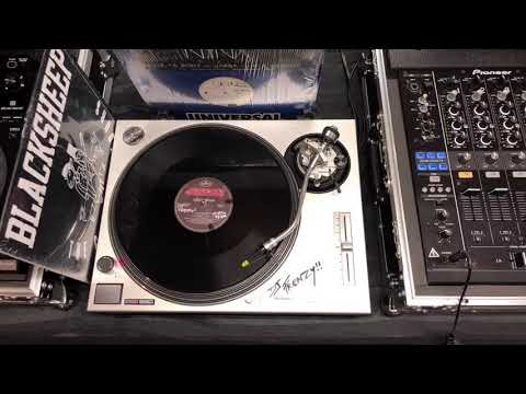 Blacksheep - The
