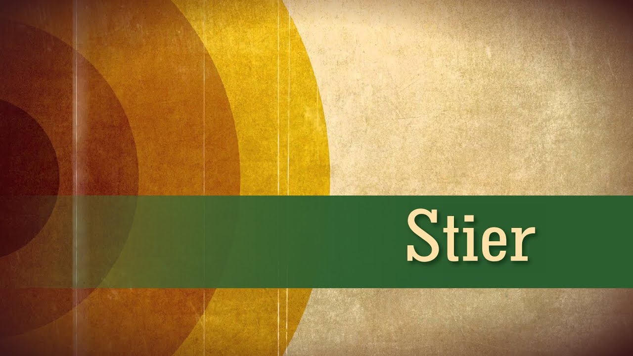 STIER Tarot Oktober 2024 - Bubbeltjeswater