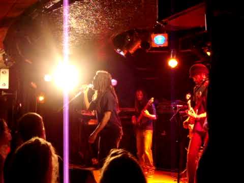 Rootz Underground - Herb Fields